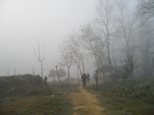 Foggy Path